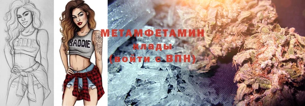 индика Новодвинск