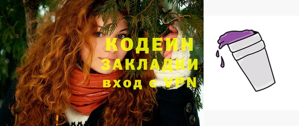 бошки Елабуга