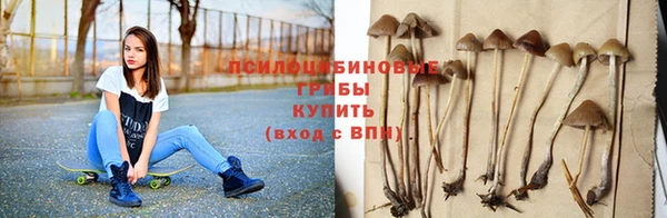 амфетамин Елизово