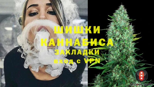 бошки Елабуга